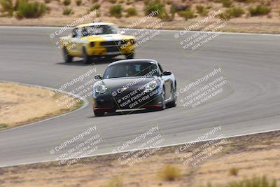 media/Oct-25-2025-West Coast Racing (Sat) [[9fdcbcd09c]]/Yellow group/Turn 3/